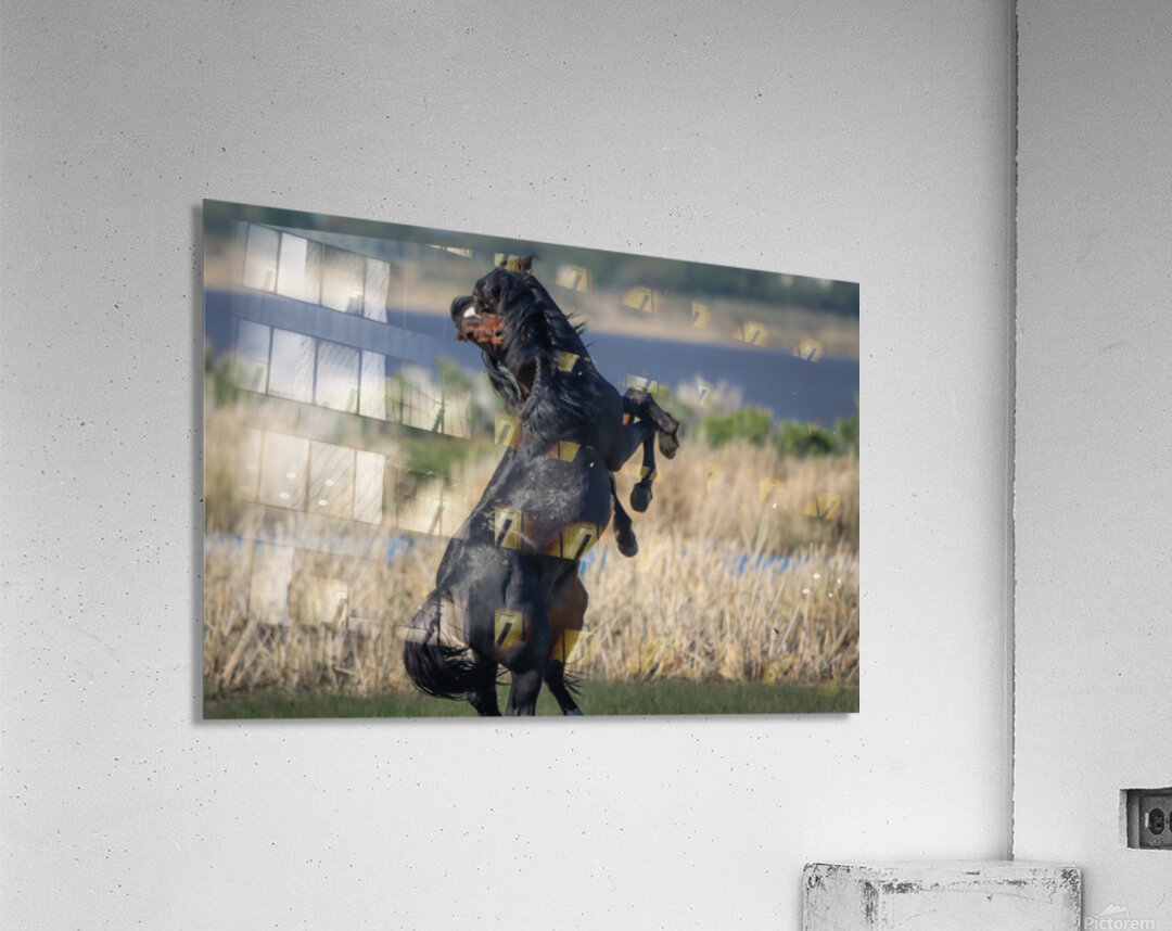 Nevada Virginia Range Series 23 Acrylic Print