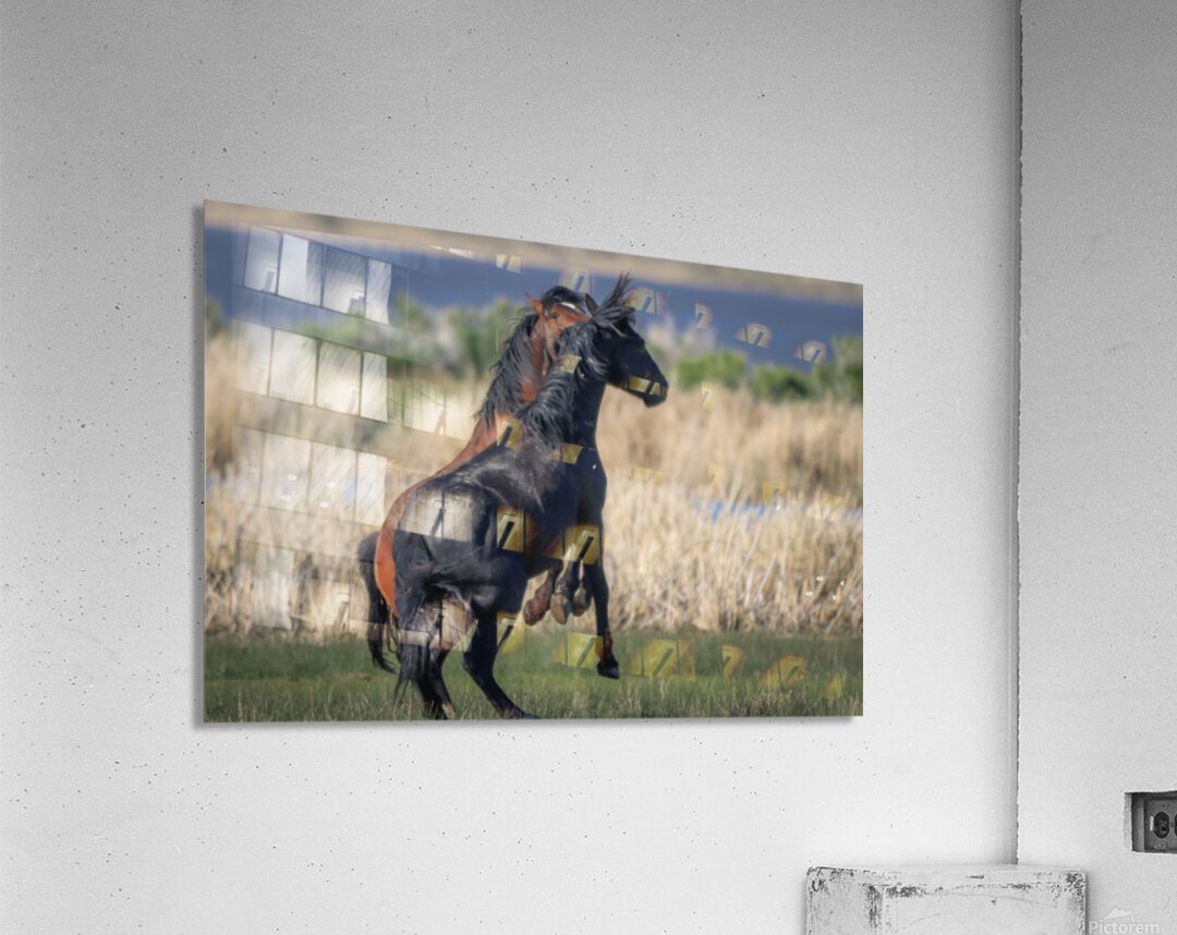 Nevada Virginia Range Series 24 Acrylic Print