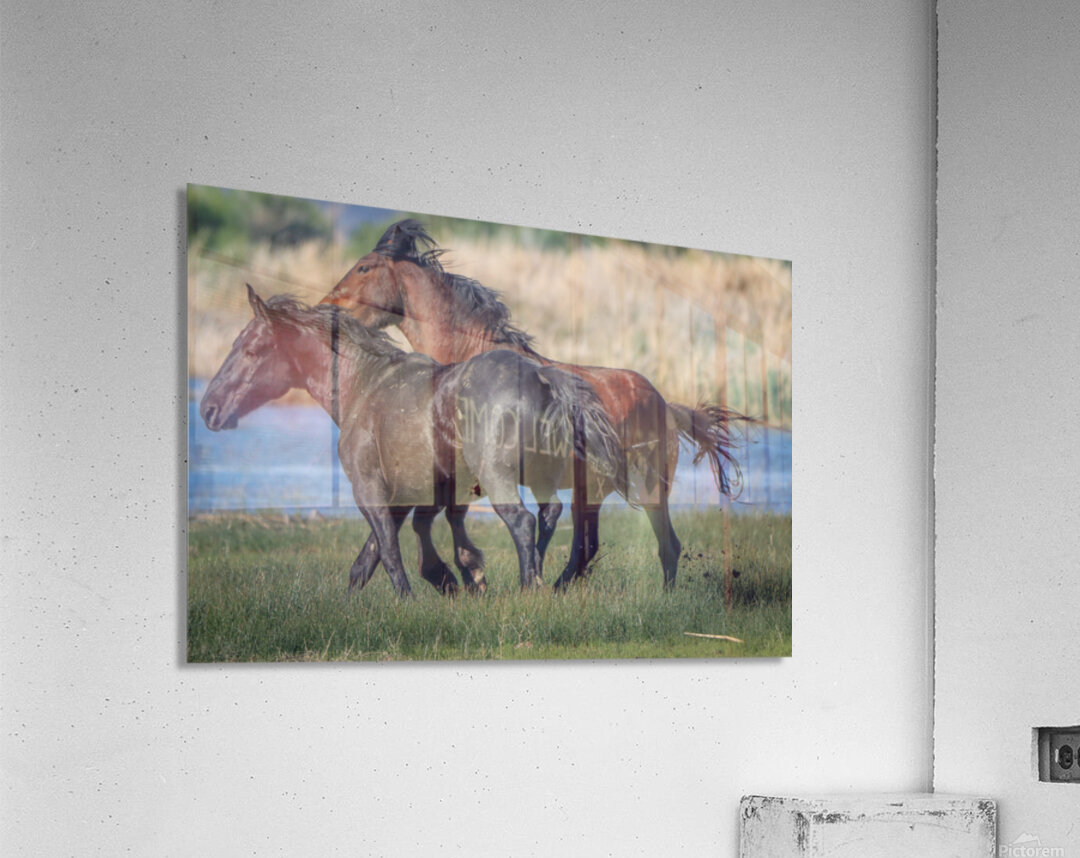 Nevada Virginia Range Series 25 Acrylic Print