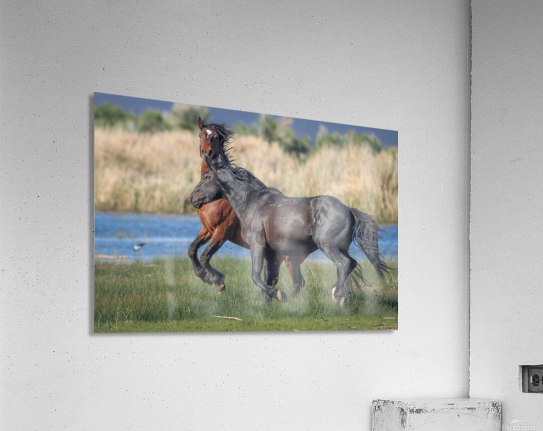 Nevada Virginia Range Series 26 Acrylic Print