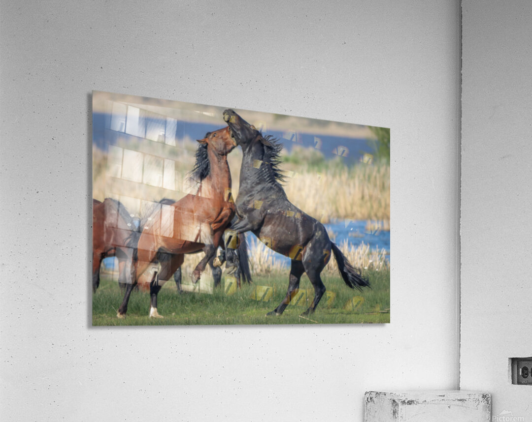 Nevada Virginia Range Series 27 Acrylic Print