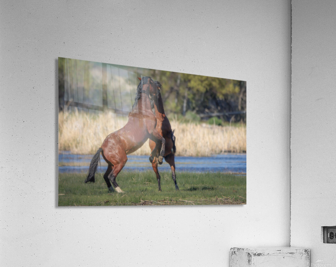 Nevada Virginia Range Series 28 Acrylic Print