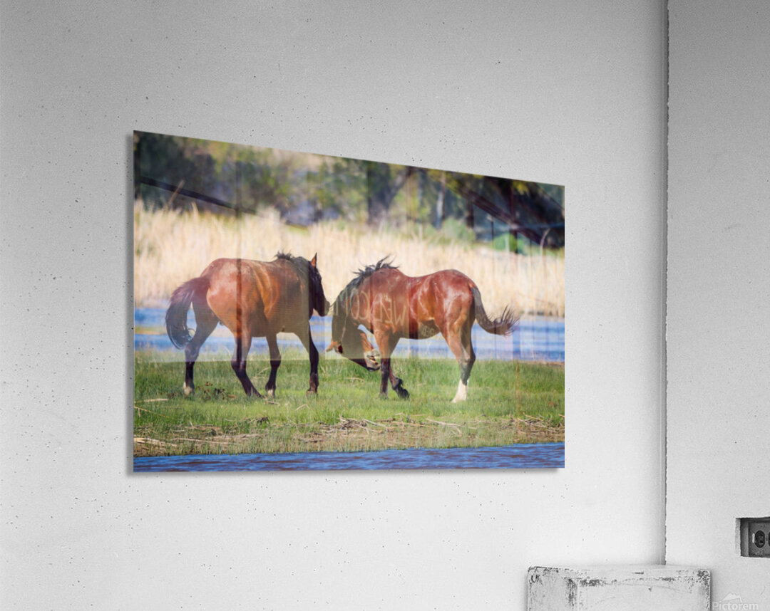 Nevada Virginia Range Series 29 Acrylic Print