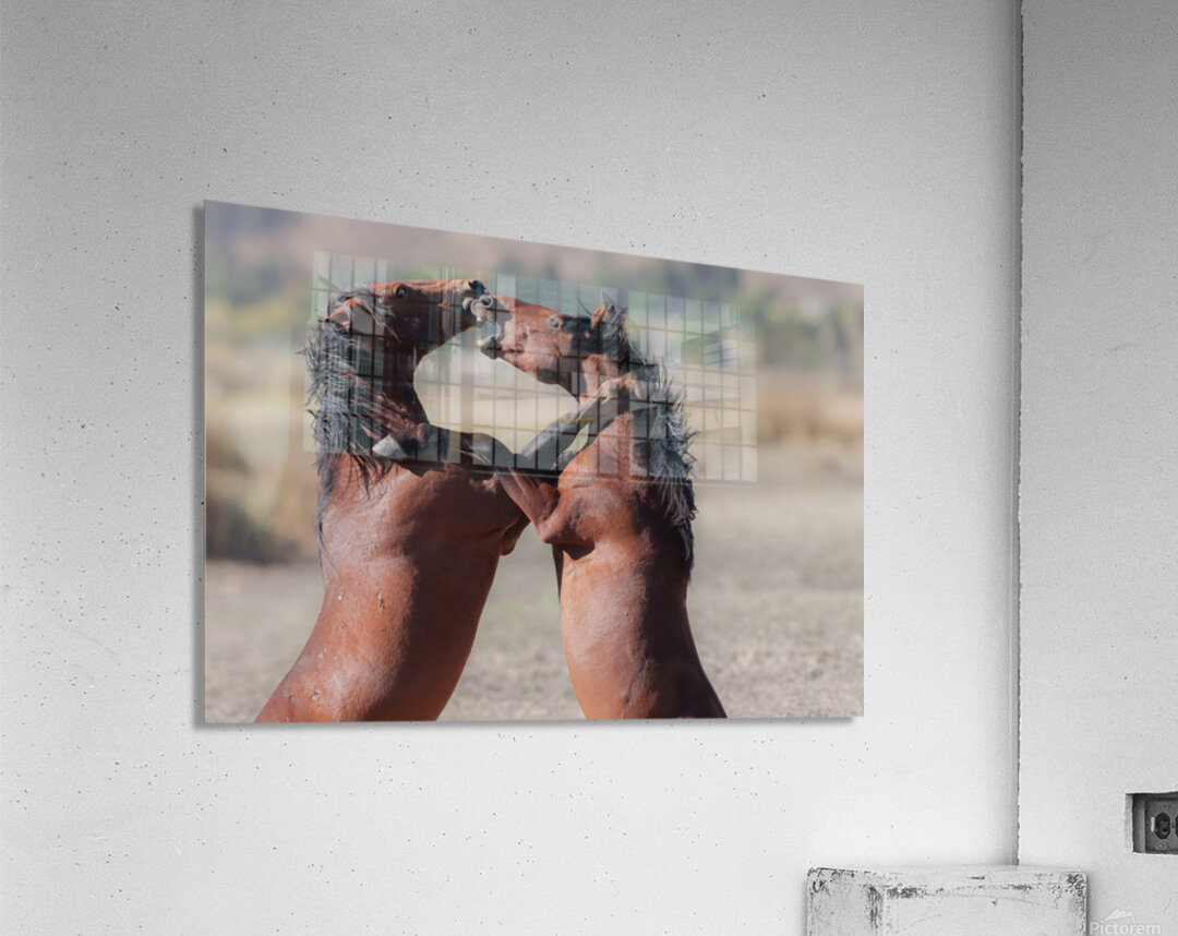 Nevada Virginia Range Series 32 Acrylic Print