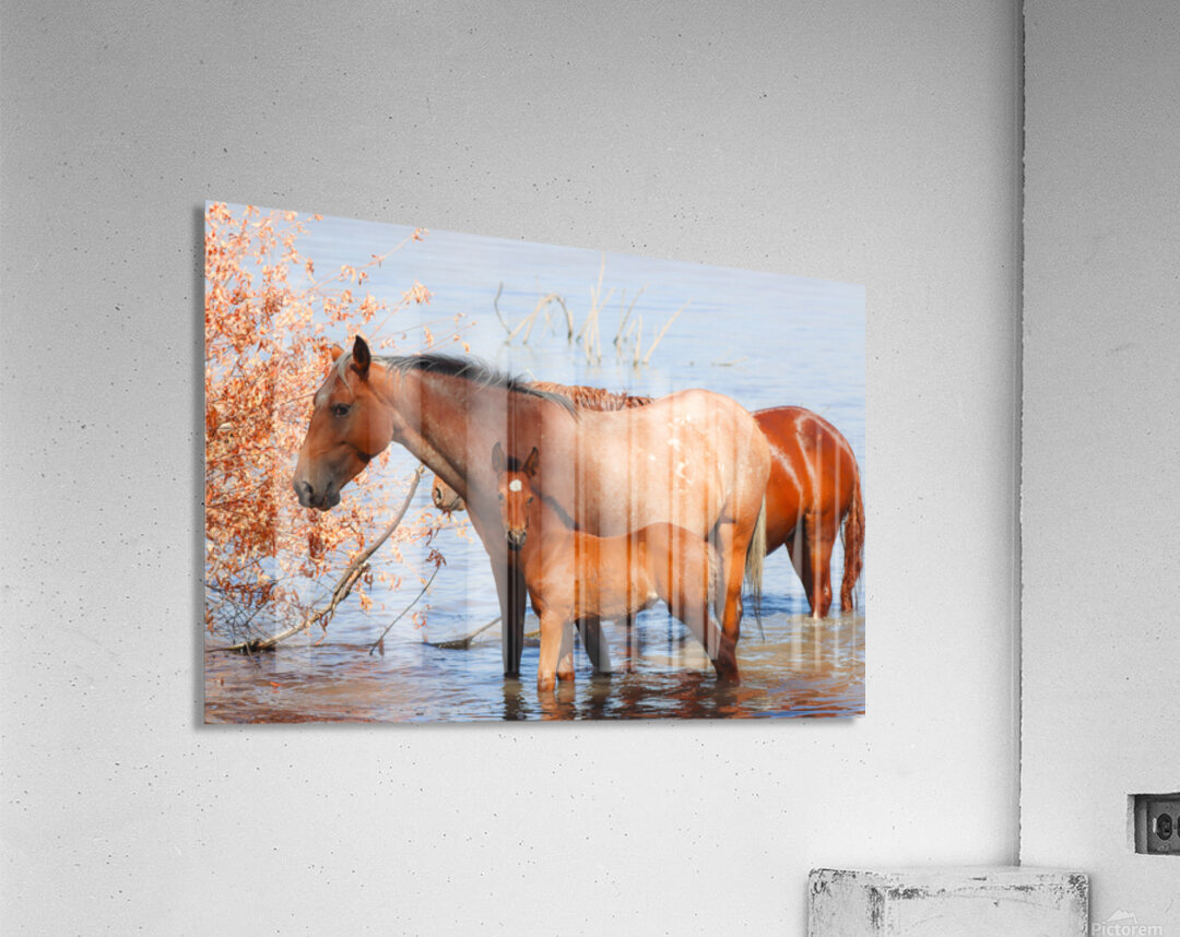 Nevada Virginia Range Series 35 Acrylic Print