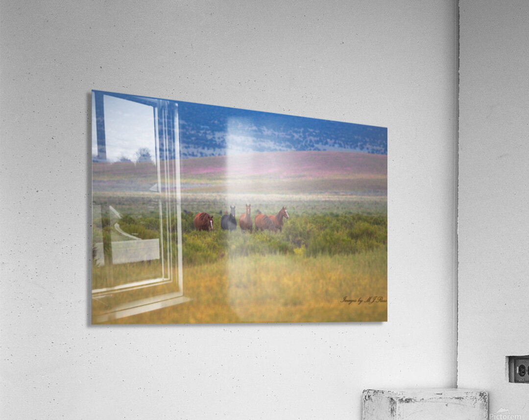 Nevada Mustang series 5 1 Acrylic Print