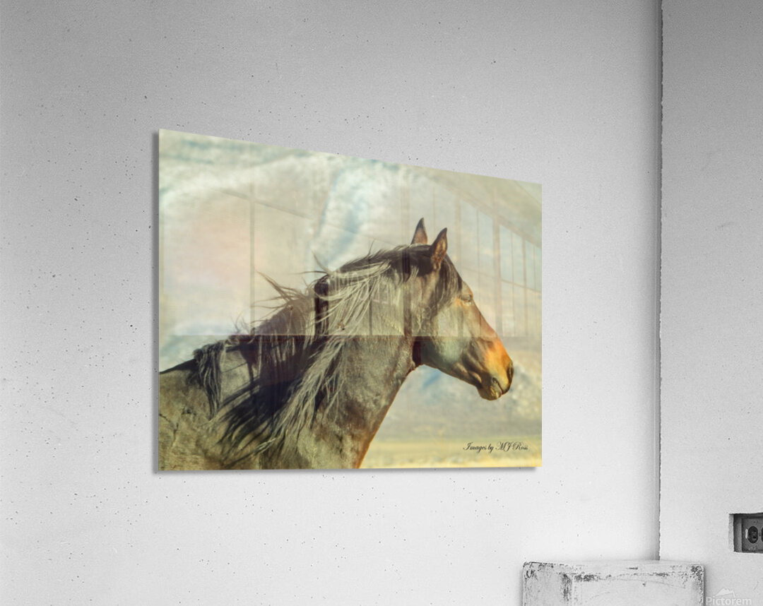Nevada Mustang series 8  1 Acrylic Print