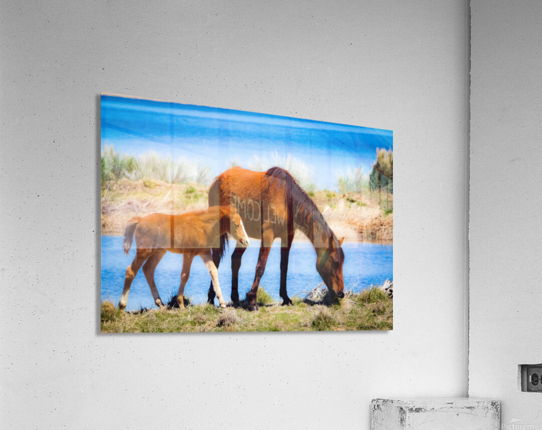 Nevada wild 6 Acrylic Print