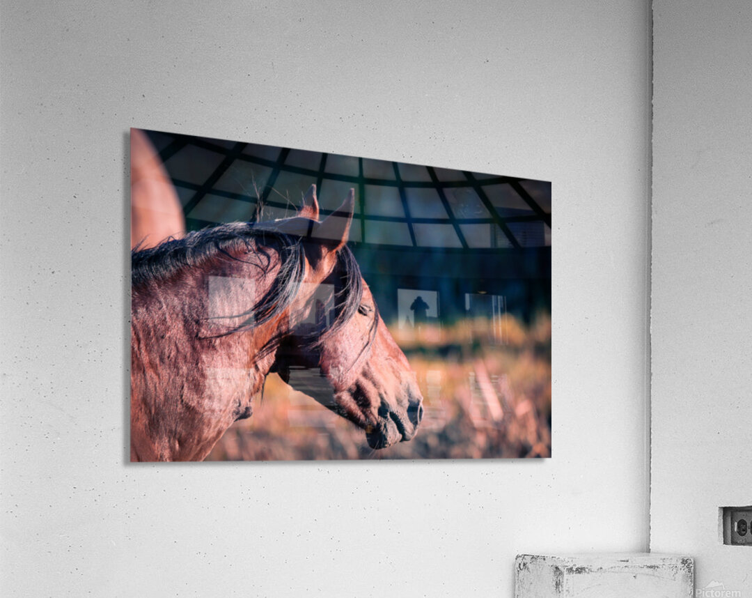 Nevada wild 2 Acrylic Print