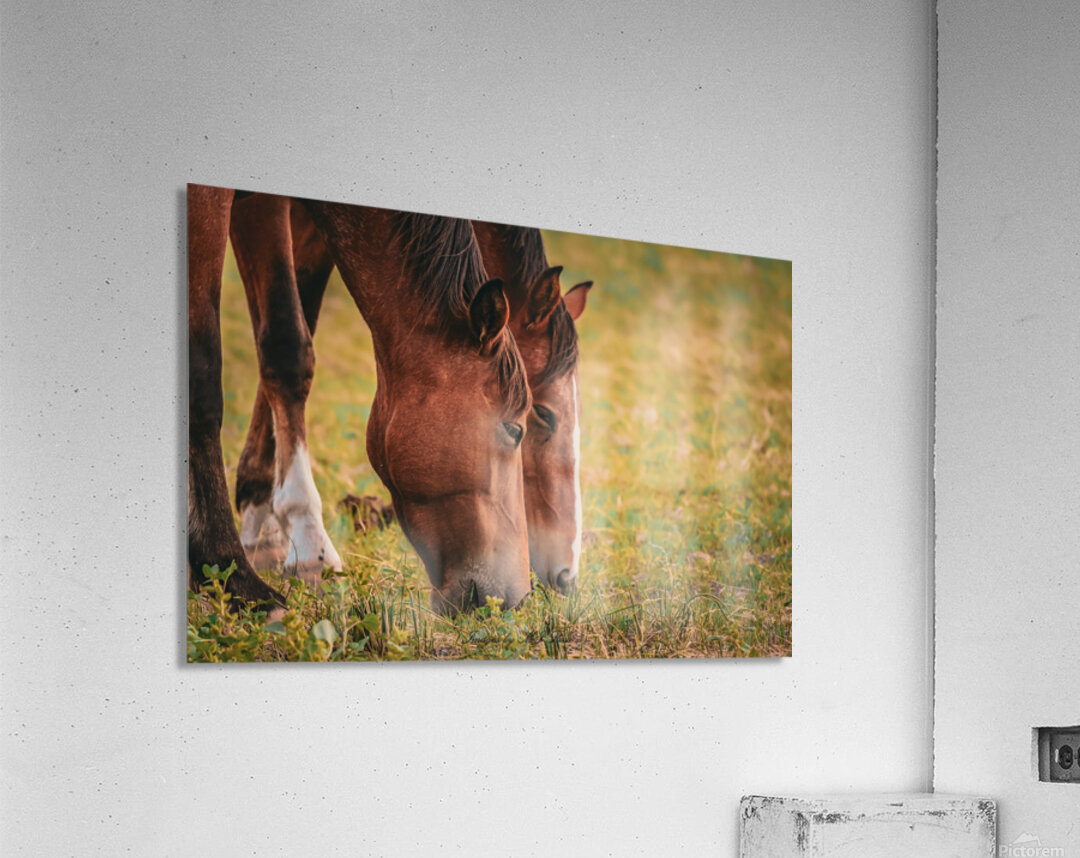 Nevada wild 1 1 Acrylic Print