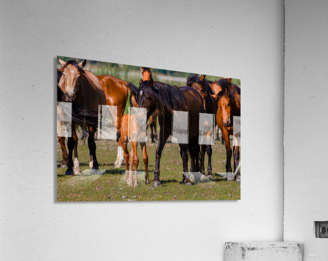 Nevada wild  Series VR1 1 Acrylic Print