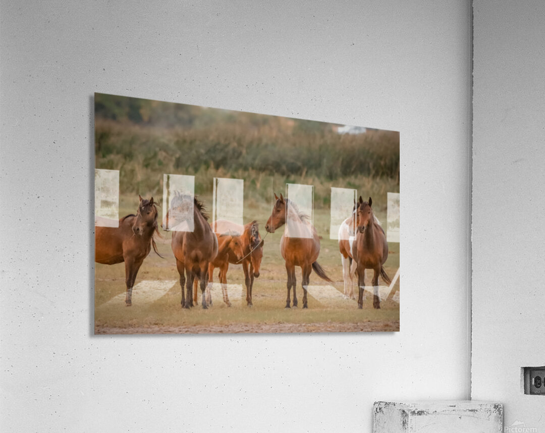 Nevada wild  Series VR1 2 Acrylic Print