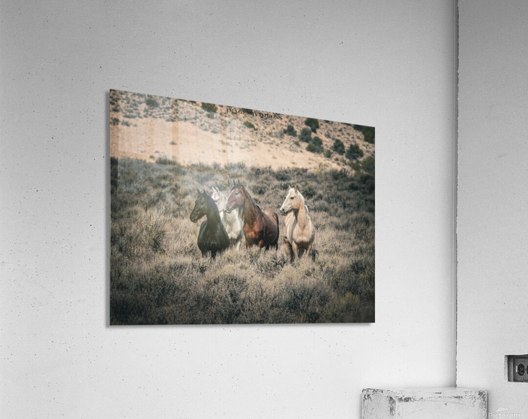 Nevada Mustang 2 1 Acrylic Print