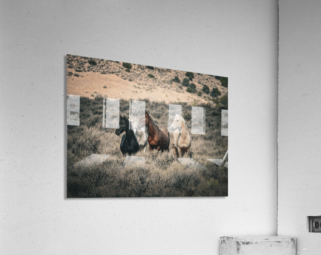 Nevada Mustang 3 1 Acrylic Print