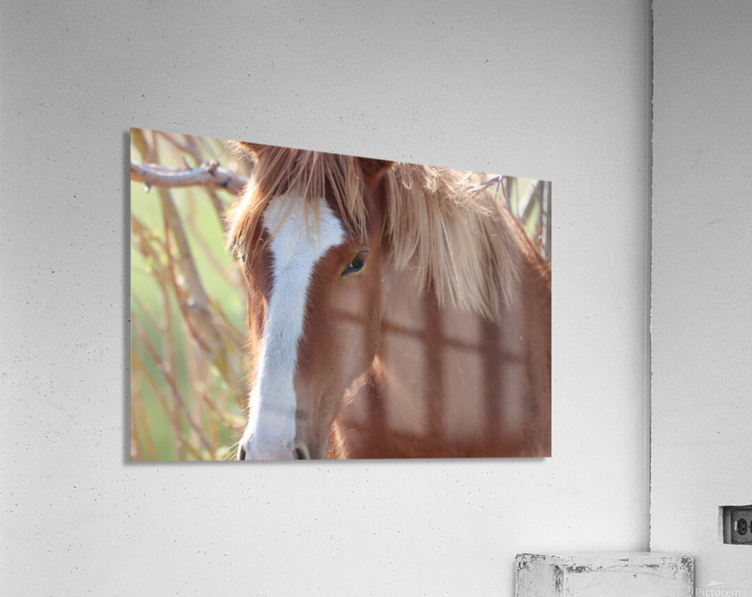 Nevada Wild 12 1 Acrylic Print