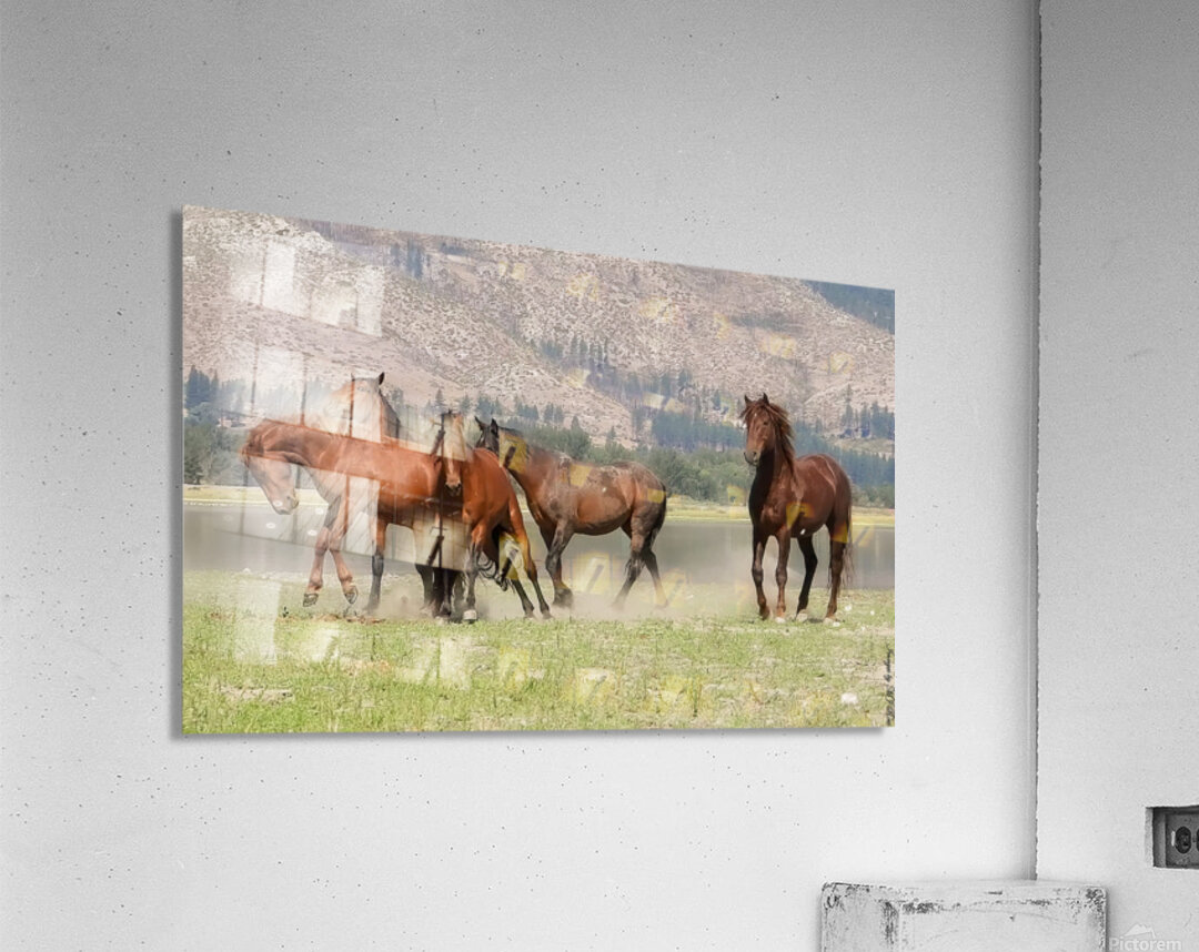 Nevada Wild 15 1 Acrylic Print