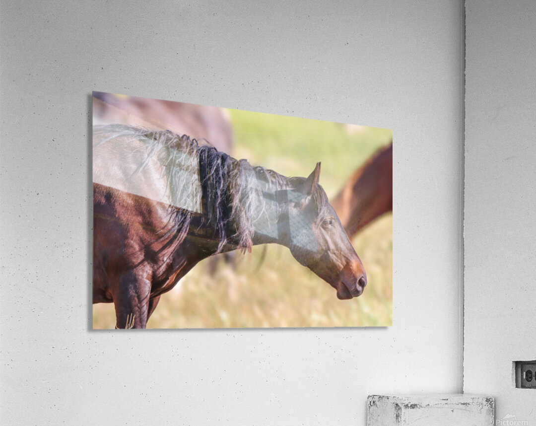 Nevada Wild 165 2 Acrylic Print