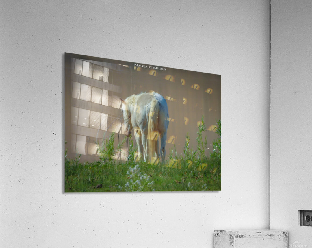 Nevada Wild 165 1 Acrylic Print