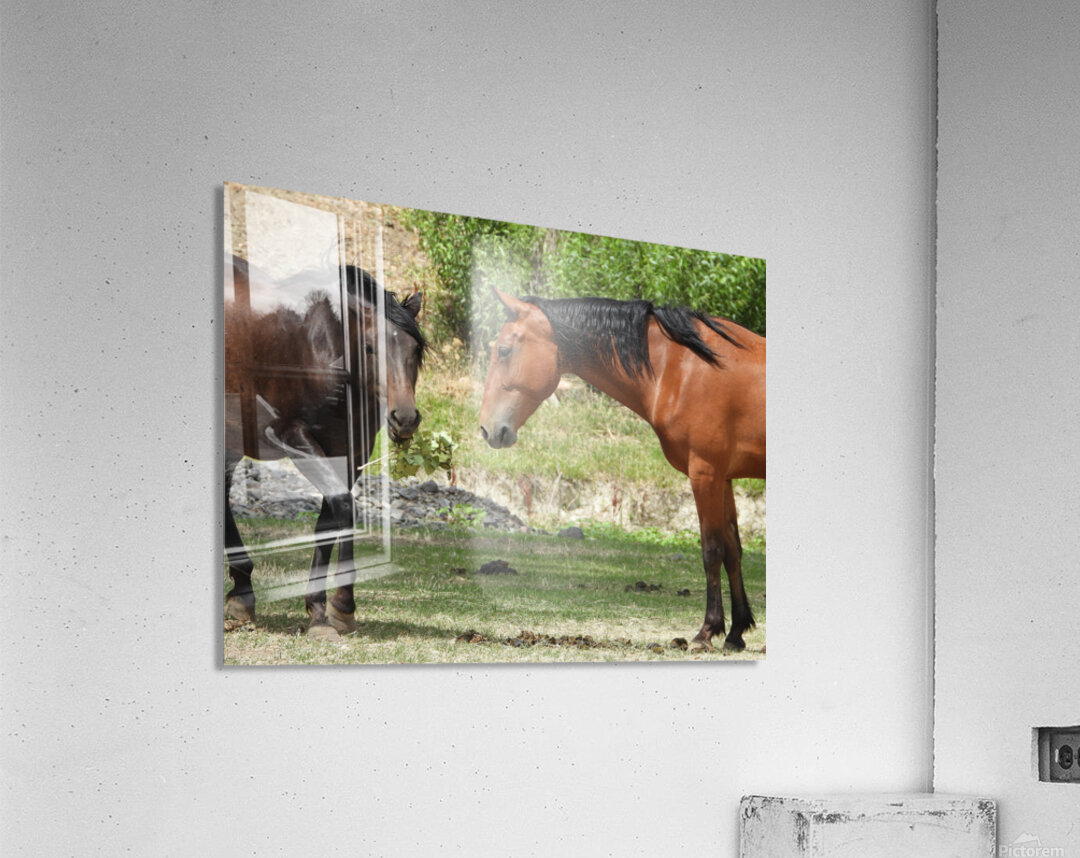 Nevada Wild 165 1 Acrylic Print