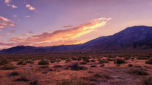 Nevada Landscapes 1