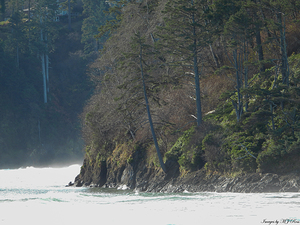 Oregon Coast 1