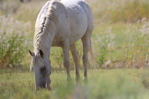 Nevada Virginia Range Series 2 by ImagesbyMJRoss