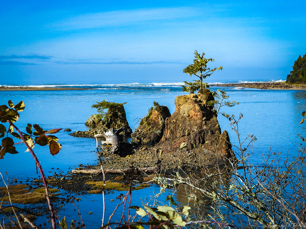 Oregon Coast 2 Print