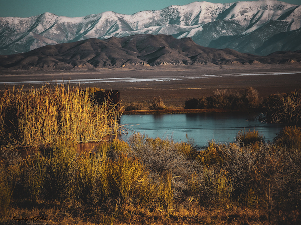 Nevada Landscape 4 Print