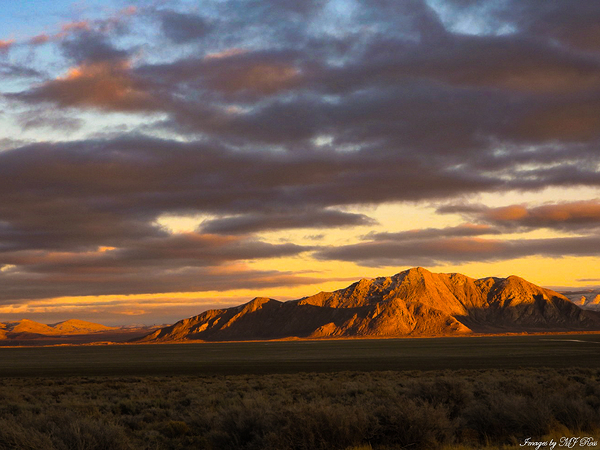 Nevada Landscape 5 Print
