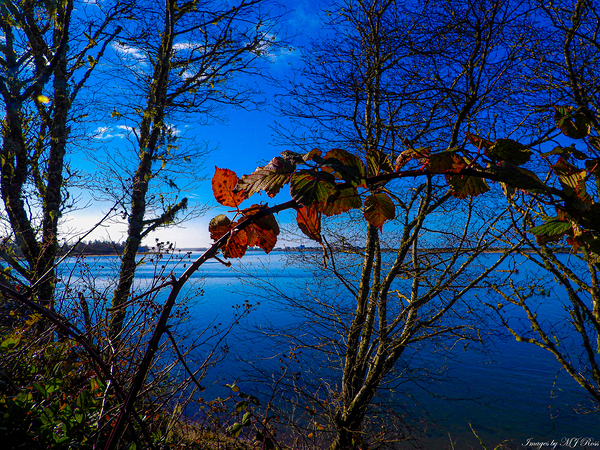 Oregon Coast 3 Print