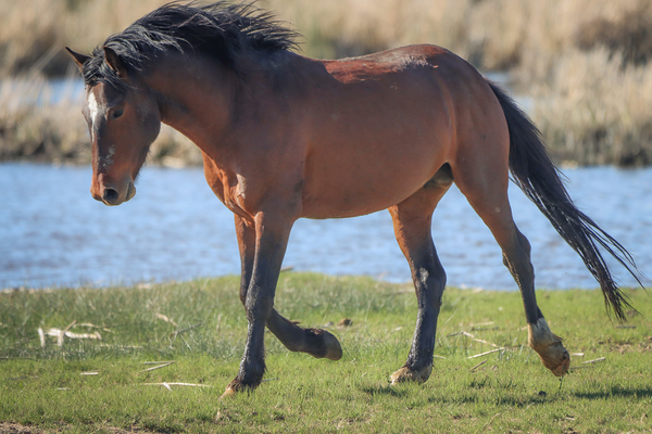 Nevada Virginia Range Series 15 by ImagesbyMJRoss