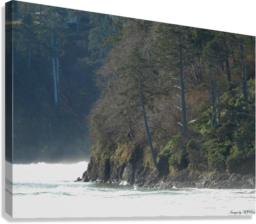 Oregon Coast 1 Canvas Print