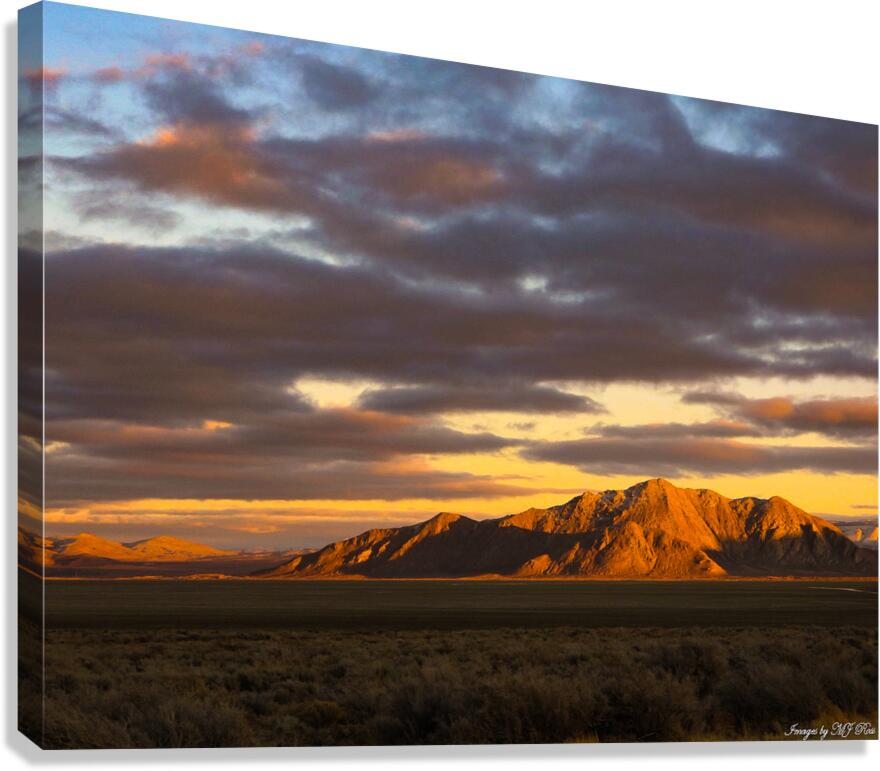 Nevada Landscape 5 Canvas Print