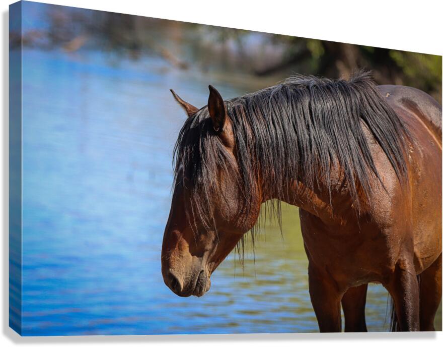 Nevada Virginia Range Series 36 Canvas Print