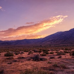 Nevada Landscapes 1
