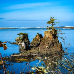 Oregon Coast 2