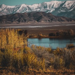 Nevada Landscape 4
