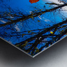 Oregon Coast 3 Metal print