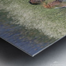 Wild Horse Nevada Series 4 Metal print