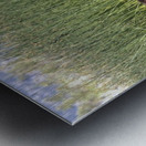 Wild Horse Nevada Series 6 Metal print