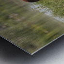 Wild Horse Nevada Series 7 Metal print