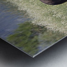 Wild Horse Nevada Series 9 Metal print