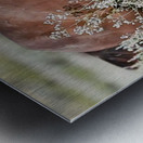 Wild Horse Nevada Series 12 Metal print