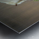 Wild Horse Nevada Series 13 Metal print