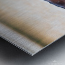 Wild Horse Series Nevada 14 Metal print