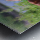 Nevada Virginia Range Series Metal print