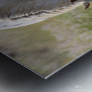 Nevada Virginia Range Series 2 Metal print