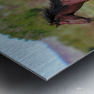 Nevada Virginia Range Series 3 Metal print