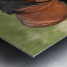 Nevada Virginia Range Series 4 Metal print