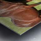 Nevada Virginia Range Series 5 Metal print